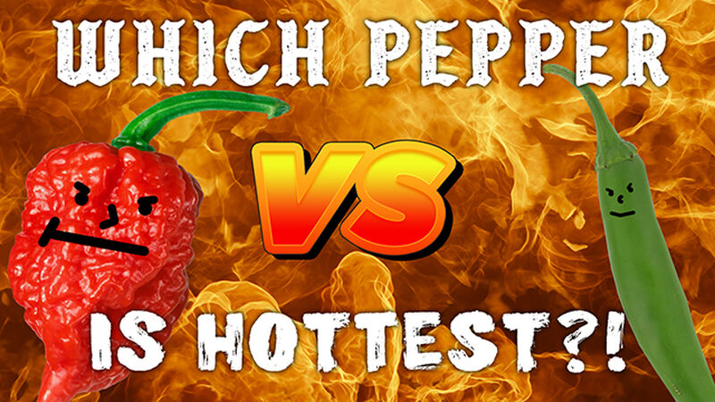 Which Pepper is Hottest?!